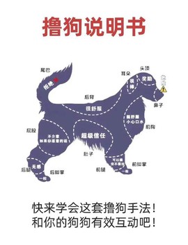 玩吧狼人杀如何摸狗[图2]