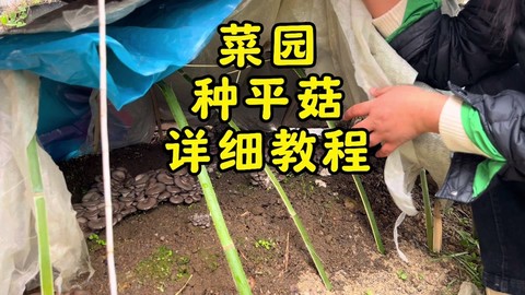 我的世界怎么种植蘑菇[图2]