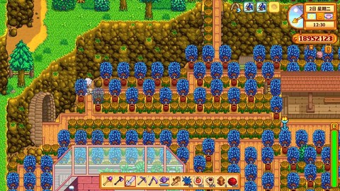 星露谷物语树苗怎么种