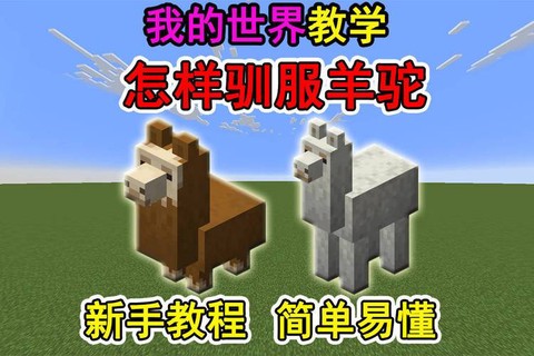我的世界里羊驼怎么骑[图2]