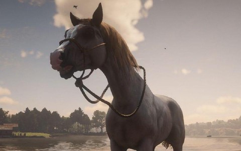 荒野大镖客2什么马好[图2]