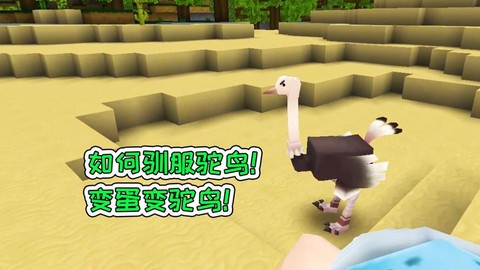 迷你世界怎么坐鸵鸟[图2]