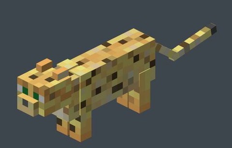 我的世界怎么找豹猫[图1]