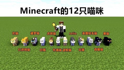 我的世界怎么找豹猫[图2]